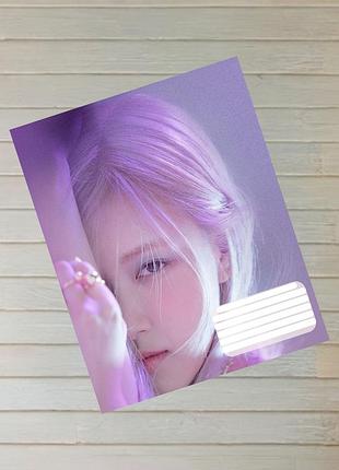 Тетрадь роза пак чейон блэк пинк rose black pink на скобе 24 листа линия 17811