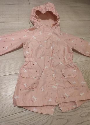 Вітровка ніжного кольору