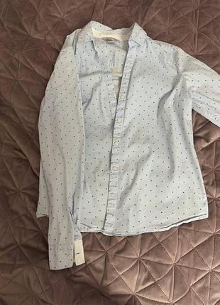 Сорочка брендова