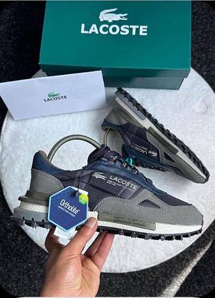 Кросівки lacoste