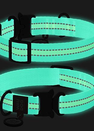Ошейник для собак нейлоновый waudog nylon с qr паспортом, светонакопительный/светоотражающий, металлическая пряжка-фастекс, ш 25