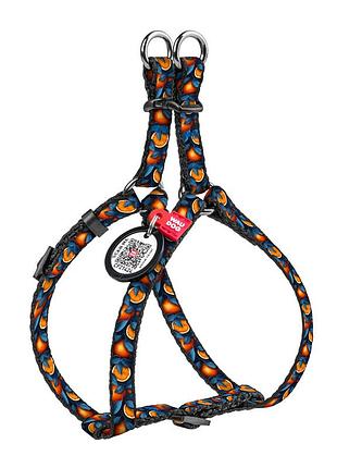 Шлея для котів та дрібних порід собак waudog nylon з qr паспортом, малюнок "апельсини", пластиковий фастекс, xs, ш 10 мм, a=b