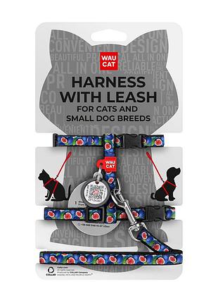Шлея з повідцем для котів та дрібних порід собак waucat nylon з qr паспортом, малюнок "інжир", пластиковий фастекс, xs, ш 10 мм, в