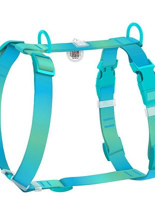 Шлея для собак анатомічна h-подібна waudog nylon recycled з qr-паспортом, градієнт, пластиковий фастекс, s, ш 15 мм, a 30-45 см, b