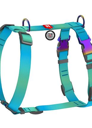 Шлея для собак анатомічна h-подібна waudog nylon recycled з qr-паспортом, градієнт, m, ш 20 мм, а 40-70, b 47-65 блакитний