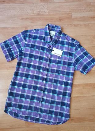 Cорочка чоловіча, р. м
