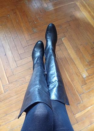 Шкіряні чоботи ботфорти шкіра італія brunella чорні люкс