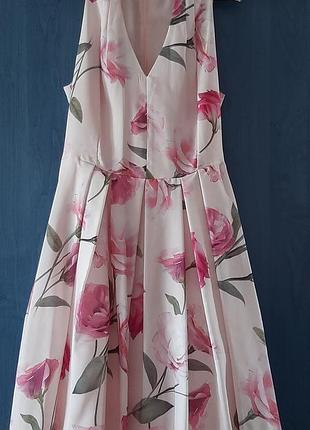 Сукня жіноча