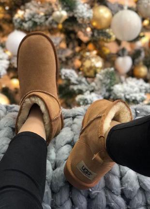 Ugg mini brown sod угги наложенный платёж купить5 фото