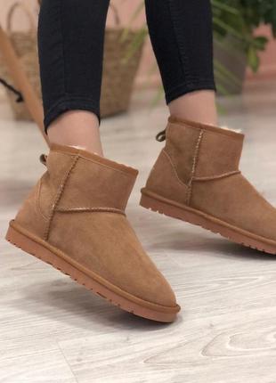 Ugg mini brown sod угги наложенный платёж купить4 фото