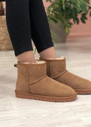 Ugg mini brown sod угги наложенный платёж купить6 фото