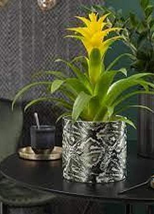 Кашпо для цветов scheurich inspiration 3,35л керамическое, 19", рептилия