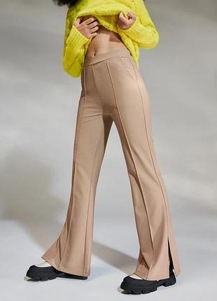 Брюки з полоскою