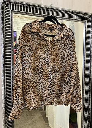 Блуза гофре леопард 5