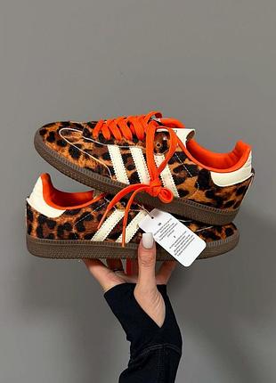 Неймовірні жіночі кросівки adidas samba leopard premium леопардові