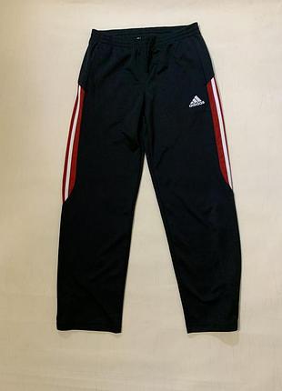 Чоловічі спортивні штани adidas