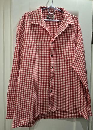 Чоловіча сорочка в клітинку