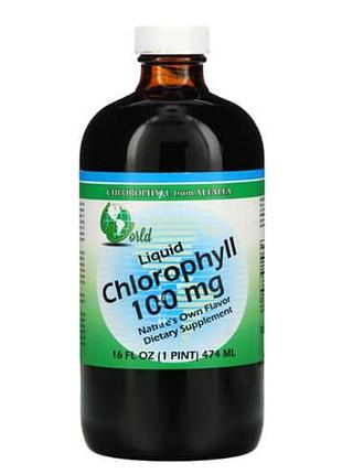 World organic liquid chlorophyll 100 mg 474 мл