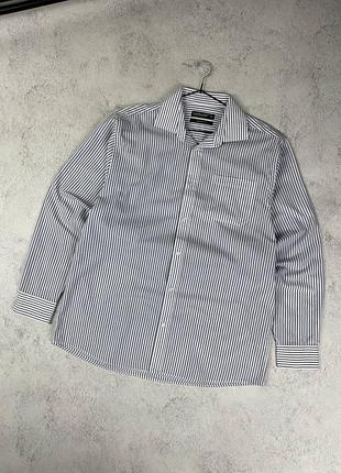 Біло блакитна класична сорочка cedarwood state в смужку