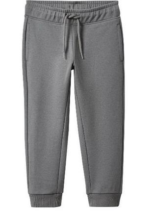 Штани на флісі lupilu