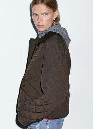 Куртка massimo dutti 3