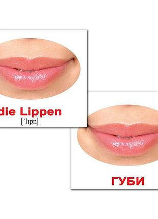 Картки навчальні міні німецько-український тіло/korper, вундеркінд, 95337