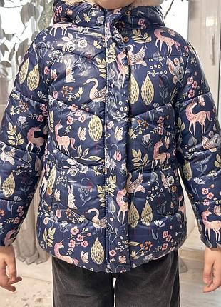 Куртка для дівчинки єврозима осінь next