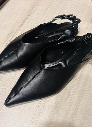 Актуальні мюлі