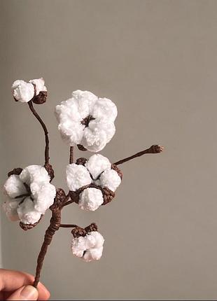 Гілочка бавовни-квітка бавовни