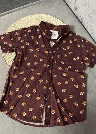 Rebel котонова сорочка з принтом лисеняти