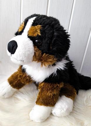 Мягкие игрушки игрушка собака собачка бернский зенненхунд бордер колли leosco