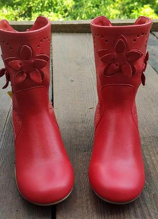 Сапожки тм renbut