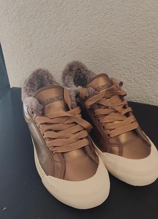 Кросівки napapijri