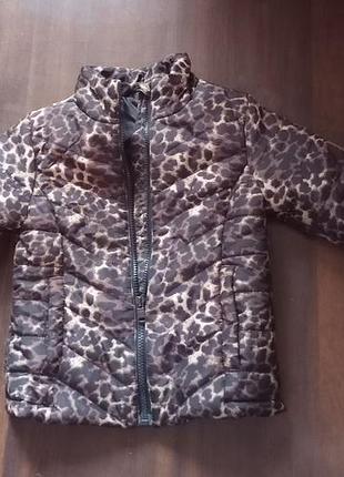 Куртка леопардова
