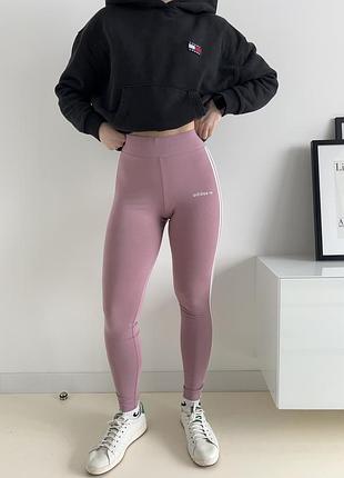 Котонові лосини на високій талії adidas originals