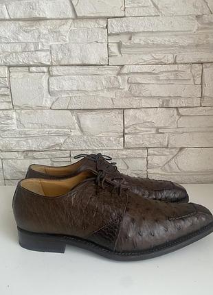 Туфлі з шкіри страуса azzaro