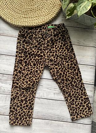 Вельветові леопардові штани