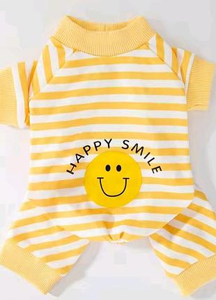 Одяг для маленької собачки чи котика