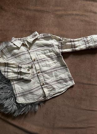 Рубашка zara