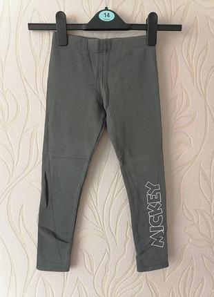 Плотные лосины 110-116