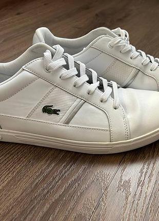 Кеди lacoste