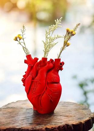 Арт-ваза анатомічне серце – стильна червона декоративна ваза для дому 11*20*15 см