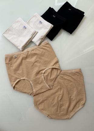 Жіночі труси