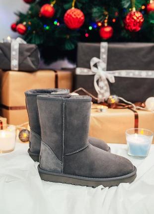 Жіночі уггі sneakers ugg Benson Dove Women S Buckle Sheepskin Ankle Bootie