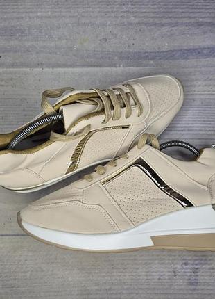 Кроссовки кеды