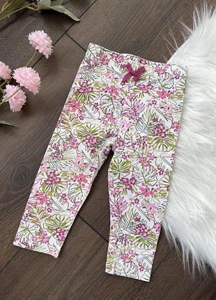 Білі лосини для дівчинки 6-12 міс 74 80 см на резинці з великими тропічними квітами рожеві фіолетові і листям