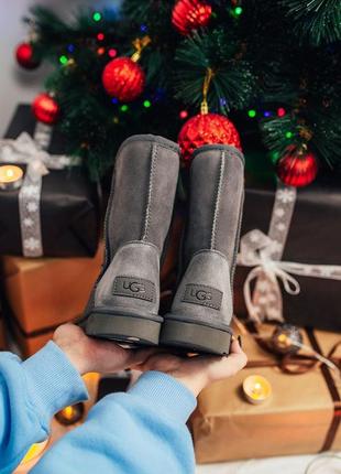 Ugg w classic short ii grey 🆕 шикарные угги🆕 купить наложенный платёж4 фото