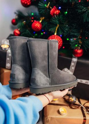 Ugg w classic short ii grey 🆕 шикарные угги🆕 купить наложенный платёж3 фото