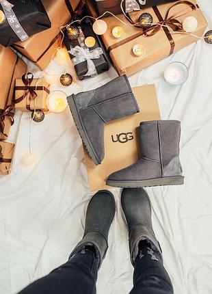 Ugg w classic short ii grey 🆕 шикарные угги🆕 купить наложенный платёж1 фото