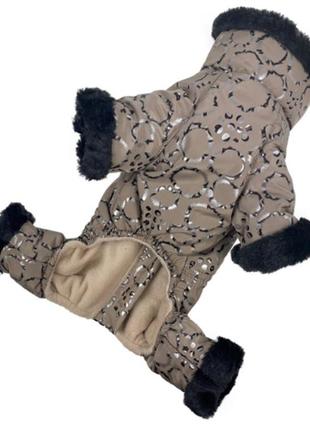 Одежда для собак зимний комбинезон на змейке, на синтепоне, подклад флис, унисекс2 фото